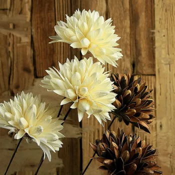 1buc Manual Flori Uscate Ramuri Magnolia cu Fier Stem Flori Artificiale Natural Home Decor Real, Flori Uscate Ornament
