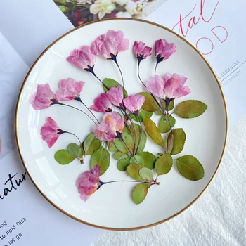 12pcs Uscate Presate Flori Naturale Begonia Cu Frunze De pudră Epoxidică Rășină Pandantiv Colier Bijuterii de Luare de Artizanat DIY Accesorii