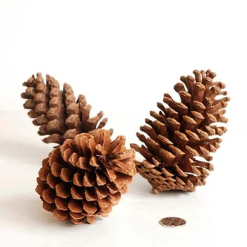 Crăciun Pinecone Geam Ornament Mare de Conuri de Pin DIY Fructe Uscate Pandantiv Decor pentru Crăciun Festivalul de Anul Nou Accesorii